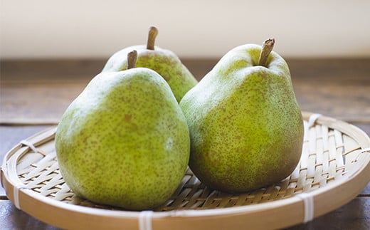 【令和8年産先行予約】 JA 大玉 ラ・フランス 約5kg ( 8～12玉 秀) 《令和8年11月上旬～12月上旬発送》 『JA山形おきたま』 洋梨 果物 フルーツ 山形県 南陽市 [718-R8]