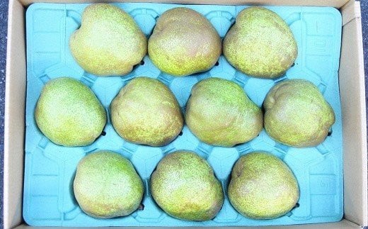 【令和8年産先行予約】 JA 大玉 ラ・フランス 約5kg ( 8～12玉 秀) 《令和8年11月上旬～12月上旬発送》 『JA山形おきたま』 洋梨 果物 フルーツ 山形県 南陽市 [718-R8]