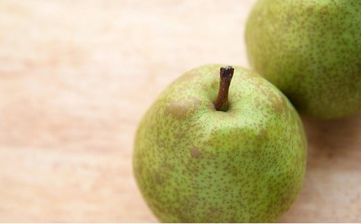 【令和7年産先行予約】 十三代目 佐藤市右衛門 ラ・フランス 約3kg (7～10玉 特秀 3～6L) 《令和7年11月上旬～発送》 『旬の果実 佐藤市右衛門農園』 山形県 南陽市 [677]