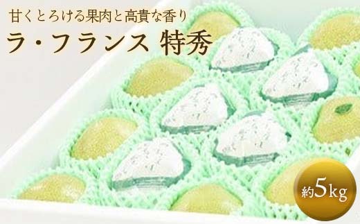 【令和8年産先行予約】 十三代目 佐藤市右衛門 ラ・フランス 約5kg (10～16玉 特秀 3～6L) 《令和8年11月上旬～発送》 『旬の果実 佐藤市右衛門農園』 ラフランス 西洋梨 洋なし 果物 フルーツ デザート 山形県 南陽市 [679]