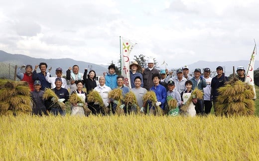 南陽産 特選 雪若丸 16kg (2kg×8袋) 『おりはた環境保全協議会』 特別栽培米 米 白米 精米 ご飯 山形県 南陽市 [936]