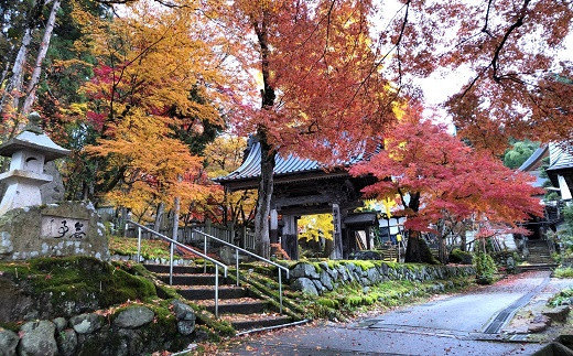 南陽産 特選 雪若丸 16kg (2kg×8袋) 『おりはた環境保全協議会』 特別栽培米 米 白米 精米 ご飯 山形県 南陽市 [936]