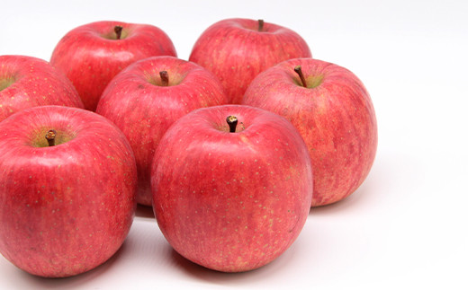 【令和7年産先行予約】 《極上》極み選果 完熟みつ入りふじりんご 約4kg (10～12玉 3～4L) 木箱入り 《令和7年12月中旬～発送》 【全国りんご選手権 銀賞】 『船中農園』 山形県 南陽市 [695]
