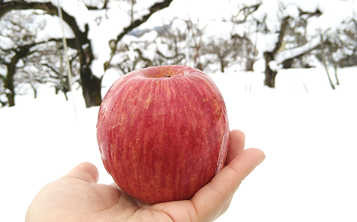 【令和7年産先行予約】 雪んこ 完熟ふじりんご 約10kg バラ詰め 《令和8年1月上旬～発送》 【全国りんご選手権 銀賞】 『船中農園』 りんご リンゴ ふじ ふじりんご 完熟 果物 フルーツ デザート 山形県 南陽市 [696]
