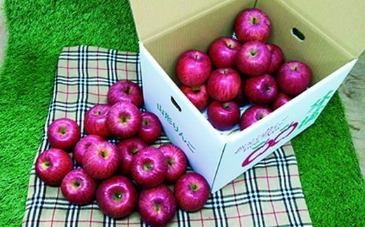 【令和8年産先行予約】 雪んこ 完熟ふじりんご 約10kg バラ詰め 《令和9年1月中旬～発送》 【全国りんご選手権 銀賞】 『船中農園』 林檎 リンゴ 果物 フルーツ デザート 山形県 南陽市 [696]