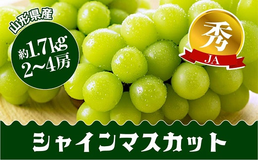 【令和6年産先行予約】 JA シャインマスカット 約1.7kg (2～4房 秀) 《令和6年9月下旬～発送》 『JA山形おきたま』 山形県 南陽市 [715]