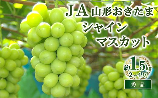 【令和8年産先行予約】 JA シャインマスカット 約1.5kg (2～4房 秀) 《令和8年9月下旬～発送》 『JA山形おきたま』 マスカット ぶどう 果物 フルーツ 山形県 南陽市 [715]