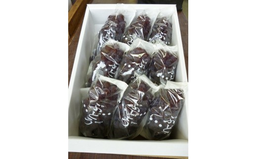 【令和8年産先行予約】 朝どりデラウェア 1箱 (9房前後入り) 《令和8年7月中旬～発送》 『漆山果樹園』 葡萄 ぶどう ブドウ 種なし 新鮮 果物 フルーツ デザート 山形県 南陽市 [661]