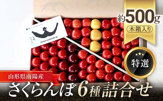 【令和8年産先行予約】 さくらんぼ 6種詰合せ 約500g (特選 木箱入り) 《令和8年6月中旬～発送》 『最上園』 サクランボ セット 食べ比べ 果物 山形県 南陽市 [681]