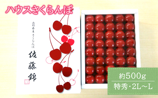 【令和7年産先行予約】 JA ハウスさくらんぼ 「佐藤錦」 約500g (特秀 2L～L) 化粧箱入り 《令和7年6月上旬～中旬発送》 『JA山形おきたま』 サクランボ 果物 フルーツ 山形県 南陽市 [860]