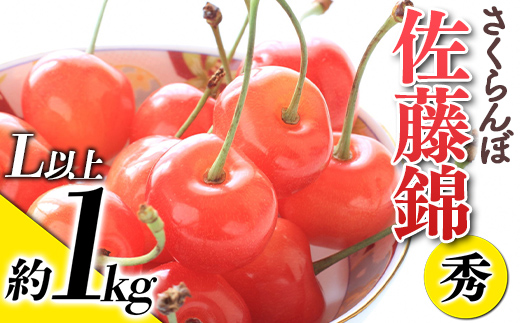 【令和6年産先行予約】 さくらんぼ 「佐藤錦」 約1kg (秀 L以上) バラ詰め 《令和6年6月上旬～発送》 『生産者おまかせ』 サクランボ 果物 フルーツ 産地直送 生産農家直送 山形県 南陽市 [881]