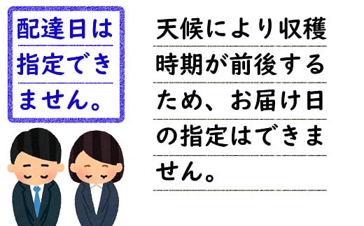 【令和6年産先行予約】 さくらんぼ 「佐藤錦」 約1kg (秀 2L以上) バラ詰め 《令和6年6月上旬～発送》 『生産者おまかせ』 サクランボ 果物 フルーツ 産地直送 生産農家直送 山形県 南陽市 [883]