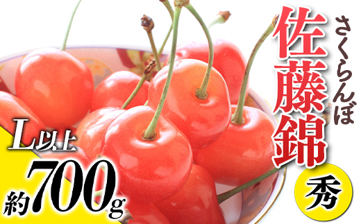 【令和6年産先行予約】 さくらんぼ 「佐藤錦」 約700g (秀 L以上) バラ詰め 《令和6年6月上旬～発送》 『生産者おまかせ』 サクランボ 果物 フルーツ 産地直送 生産農家直送 山形県 南陽市 [884]