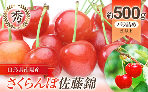 【令和6年産先行予約】 さくらんぼ 「佐藤錦」 約500g (秀 2L以上) バラ詰め 《令和6年6月上旬～発送》 『生産者おまかせ』 サクランボ 果物 フルーツ 産地直送 生産農家直送 山形県 南陽市 [885]