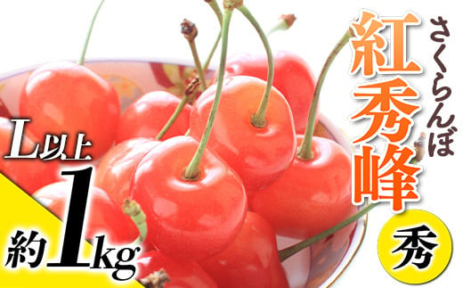 【令和7年産先行予約】 さくらんぼ 「紅秀峰」 約1kg (秀 L以上) バラ詰め 《令和7年6月下旬～発送》 『生産者おまかせ』 サクランボ 果物 フルーツ 産地直送 山形県 南陽市 [887]