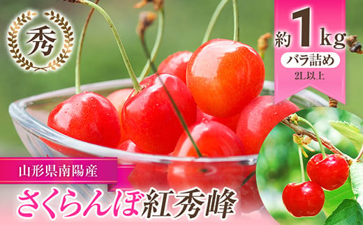 【令和7年産先行予約】 さくらんぼ 「紅秀峰」 約1kg (秀 2L以上) バラ詰め 《令和7年6月下旬～発送》 『生産者おまかせ』 サクランボ 果物 フルーツ 産地直送 山形県 南陽市 [985]