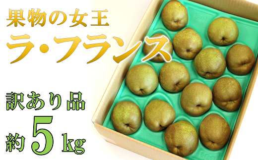 【令和6年産先行予約】 〈訳あり品 家庭用〉 ラ・フランス 約5kg (10～18玉) 《令和6年10月下旬～発送》 『旬の果実 佐藤市右衛門農園』 ラフランス 西洋梨 洋なし 訳あり 果物 フルーツ デザート 山形県 南陽市 [1047]