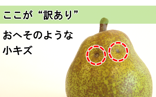 〈訳あり品 家庭用〉 ラ・フランス 約5kg (10～18玉) 《令和6年10月下旬～発送》 『旬の果実 佐藤市右衛門農園』 ラフランス 西洋梨 洋なし 訳あり 果物 フルーツ デザート 山形県 南陽市 [1047]