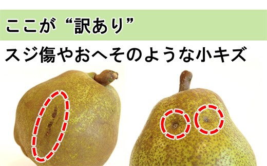 【令和8年産先行予約】 〈訳あり品 家庭用〉 ラ・フランス 約5kg (10～18玉 中～大玉) 《令和8年11月上旬～発送》 『旬の果実 佐藤市右衛門農園』 ラフランス 西洋梨 洋なし 訳あり 果物 フルーツ デザート 山形県 南陽市 [1047]
