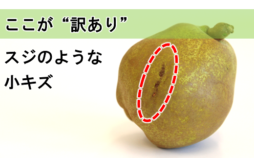 〈訳あり品 家庭用〉 ラ・フランス 約5kg (10～18玉) 《令和6年10月下旬～発送》 『旬の果実 佐藤市右衛門農園』 ラフランス 西洋梨 洋なし 訳あり 果物 フルーツ デザート 山形県 南陽市 [1047]