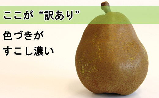 〈訳あり品 家庭用〉 ラ・フランス 約5kg (10～18玉) 《令和6年10月下旬～発送》 『旬の果実 佐藤市右衛門農園』 ラフランス 西洋梨 洋なし 訳あり 果物 フルーツ デザート 山形県 南陽市 [1047]