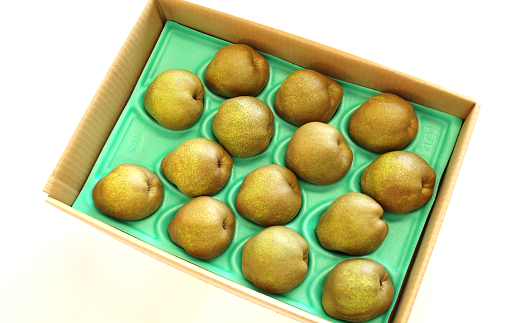 【令和7年産先行予約】 〈訳あり品 家庭用〉 ラ・フランス 約5kg (10～18玉 中～大玉) 《令和7年11月上旬～発送》 『旬の果実 佐藤市右衛門農園』 山形県 南陽市 [1047]