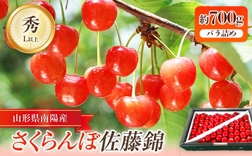 【令和6年産先行予約】 さくらんぼ 「佐藤錦」 約700g (秀 L以上) バラ詰め 《令和6年6月中旬～発送》 『田口農園』 サクランボ 果物 フルーツ 産地直送 生産農家直送 山形県 南陽市 [1128]