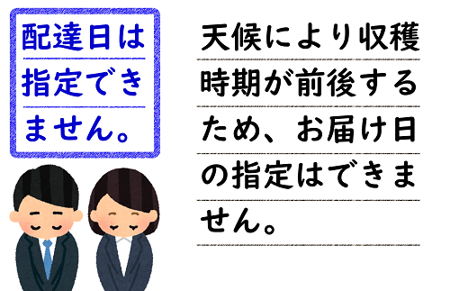 【令和6年産先行予約】 さくらんぼ 「佐藤錦」 約700g (秀 L以上) バラ詰め 《令和6年6月中旬～発送》 『田口農園』 サクランボ 果物 フルーツ 産地直送 生産農家直送 山形県 南陽市 [1128]