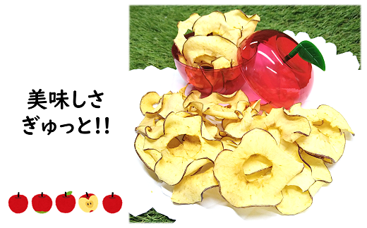 りんごの羽（無添加・ノンフライりんごチップス）10袋 セット 【野菜