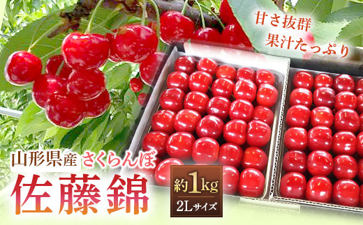 【令和6年産先行予約】 さくらんぼ 「佐藤錦」 約1kg (秀 2L以上) パック詰め 《令和6年6月発送》 『田口農園』 サクランボ 果物 フルーツ 産地直送 生産農家直送 山形県 南陽市 [1396]