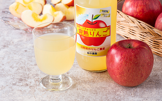 〈訳あり ちょっと規格外〉 完熟みつ入りふじりんご 約4kg ＆ ふじりんごストレートジュース 1本 セット 《令和7年12月中旬～発送》 【全国りんご選手権 銀賞】 『船中農園』 山形県 南陽市 [1404]
