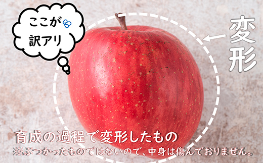 〈訳あり ちょっと規格外〉 雪んこ 完熟ふじりんご 約10kg 《令和7年1月上旬～発送》 【全国りんご選手権 銀賞】 『船中農園』 山形県 南陽市 [1405]