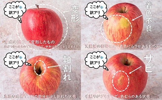 【令和8年産先行予約】 〈訳あり ちょっと規格外〉 雪んこ 完熟ふじりんご 約10kg 《令和9年1月中旬～発送》 【全国りんご選手権 銀賞】 『船中農園』 林檎 リンゴ 果物 フルーツ デザート 山形県 南陽市 [1405]