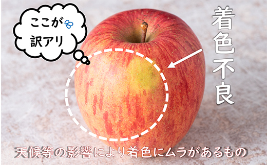 〈訳あり ちょっと規格外〉 雪んこ 完熟ふじりんご 約10kg 《令和7年1月上旬～発送》 【全国りんご選手権 銀賞】 『船中農園』 山形県 南陽市 [1405]