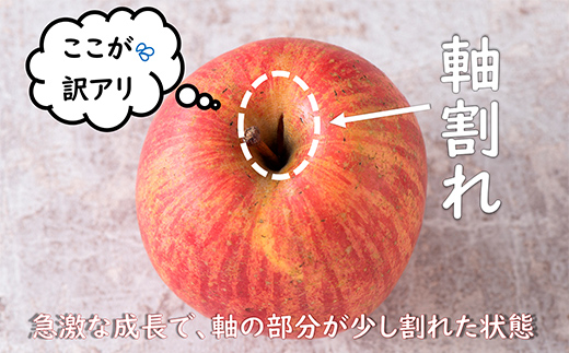 〈訳あり ちょっと規格外〉 雪んこ 完熟ふじりんご 約10kg 《令和7年1月上旬～発送》 【全国りんご選手権 銀賞】 『船中農園』 山形県 南陽市 [1405]