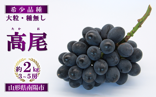 【令和7年産先行予約】 希少品種の黒系ぶどう 「高尾」 約2kg (3～5房) 《令和7年9月頃～発送》 『南陽中央青果市場』 種なし 果物 フルーツ デザート 山形県 南陽市 [1043]