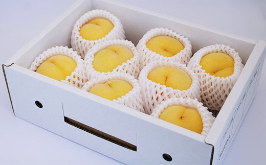 【令和8年産先行予約】 黄桃 「黄ららのきわみ」 約2kg (6～9玉 秀) 《令和8年9月中旬～発送》 『南陽中央青果市場』 桃 もも 果物 フルーツ デザート 山形県 南陽市 [1044]