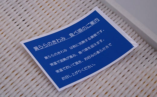 【令和7年産先行予約】 黄桃 「黄ららのきわみ」 約2kg (6～9玉) 《令和7年9月中旬～発送》 『南陽中央青果市場』 桃 もも 果物 フルーツ デザート 山形県 南陽市 [1044]