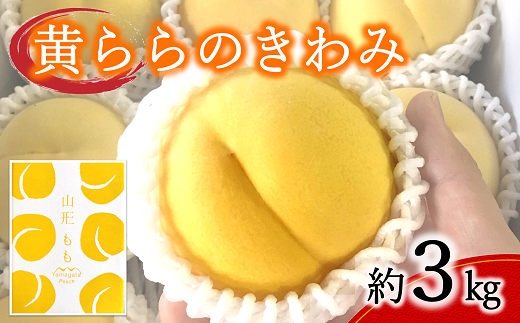 【令和6年産先行予約】 黄桃 「黄ららのきわみ」 約3kg (9～12玉) 《令和6年9月中旬～発送》 『南陽中央青果市場』 桃 もも 山形県 南陽市 [1045]