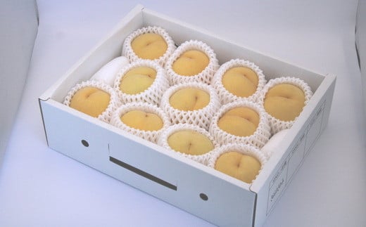 【令和8年産先行予約】 黄桃 「黄ららのきわみ」 約3kg (9～12玉 秀) 《令和8年9月中旬～発送》 『南陽中央青果市場』 桃 もも 果物 フルーツ デザート 山形県 南陽市 [1045]