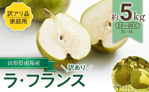 【令和8年産先行予約】 〈訳あり品 家庭用〉 ラ・フランス 約5kg (14～18玉 2～4L) 《令和8年11月中旬～発送》 『寿農園』山形県 南陽市 [1056]
