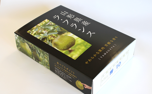 【令和6年産先行予約】 ネオニコフリー 大玉 ラ・フランス 約3kg (8～9玉 特秀 4～5L) 《令和6年11月上旬～発送》 『遠藤果樹農園』  ラフランス 洋なし 山形県 南陽市 [1060]