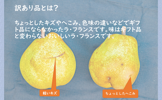 【令和7年産先行予約】 〈訳あり品 家庭用〉 ちょっと訳あり ラ・フランス 約5kg (14～18玉 2～4L) 《令和7年11月～発送》 『たけひさ農園』 ラフランス 山形県 南陽市 [1089]