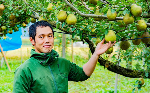 【令和7年産先行予約】 〈訳あり品 家庭用〉 ちょっと訳あり ラ・フランス 約5kg (14～18玉 2～4L) 《令和7年11月～発送》 『たけひさ農園』 ラフランス 山形県 南陽市 [1089]