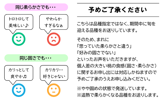 【令和6年産先行予約】 もも 約3kg (6～11玉) 《令和6年8月下旬～発送》 『生産者 高橋 賢一』 モモ 果物 フルーツ 産地直送 生産農家直送 山形県 南陽市 [1106]