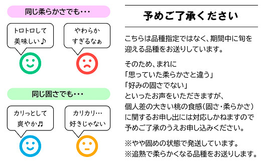 【令和6年産先行予約】 晩成の「もも」約3kg  (6～11玉) 《令和6年9月中旬～発送》 『生産者 高橋 賢一』 モモ 果物 フルーツ 産地直送 生産農家直送 山形県 南陽市 [1107]