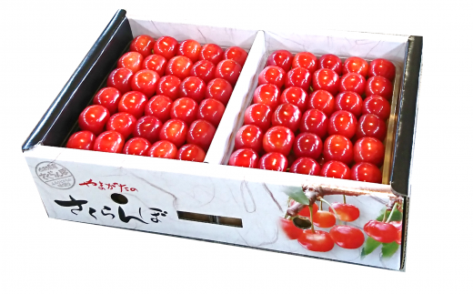 【令和8年産先行予約】 厳選品！手詰め さくらんぼ 「佐藤錦または紅秀峰」 約1kg (特秀 L以上) 《令和8年6月中旬～発送》 『マルエ青果』 山形県 南陽市 [1114]