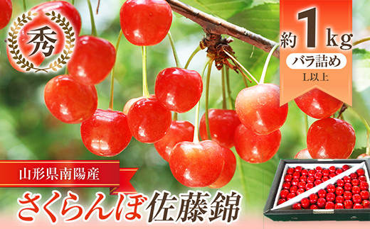 【令和6年産先行予約】 さくらんぼ 「佐藤錦」 約1kg (秀 L以上) バラ詰 《令和6年6月中旬～発送》 『田口農園』  サクランボ 果物 フルーツ 産地直送 生産農家直送 山形県 南陽市 [1129]