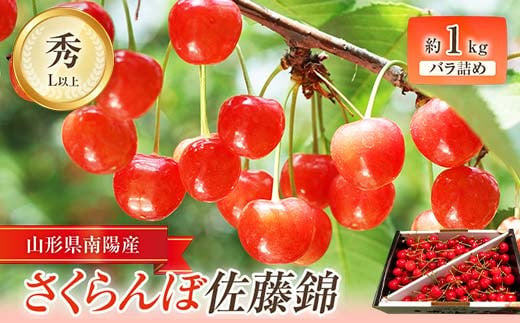 【令和7年産先行予約】 さくらんぼ 「佐藤錦」 約1kg (秀 L以上) バラ詰め 《令和7年6月中旬～発送》 『田口農園』  サクランボ 果物 フルーツ 産地直送 山形県 南陽市 [1129]