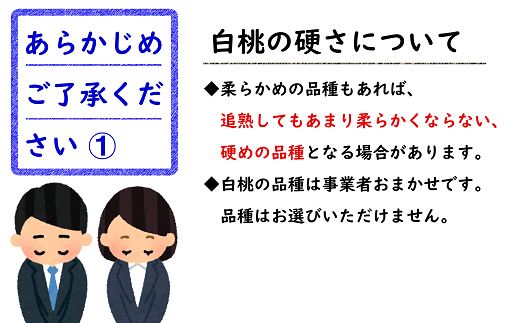 【令和6年産先行予約】 《定期便6回》 フルーツ満喫定期便A 『フードシステムズ』 山形県 南陽市 [1138-R6]